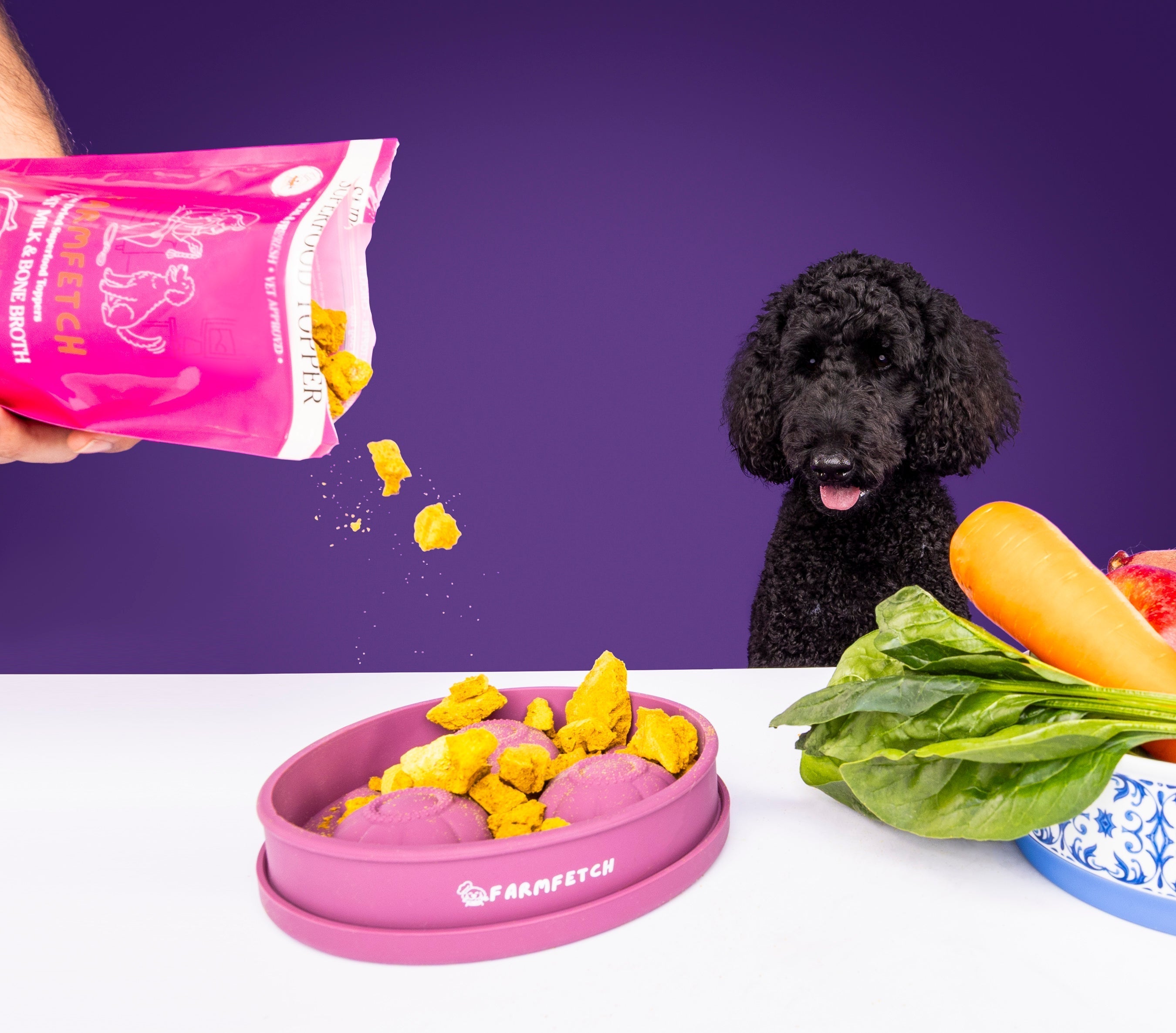 The Hidden Benefits of Freeze-Dried Dog Food