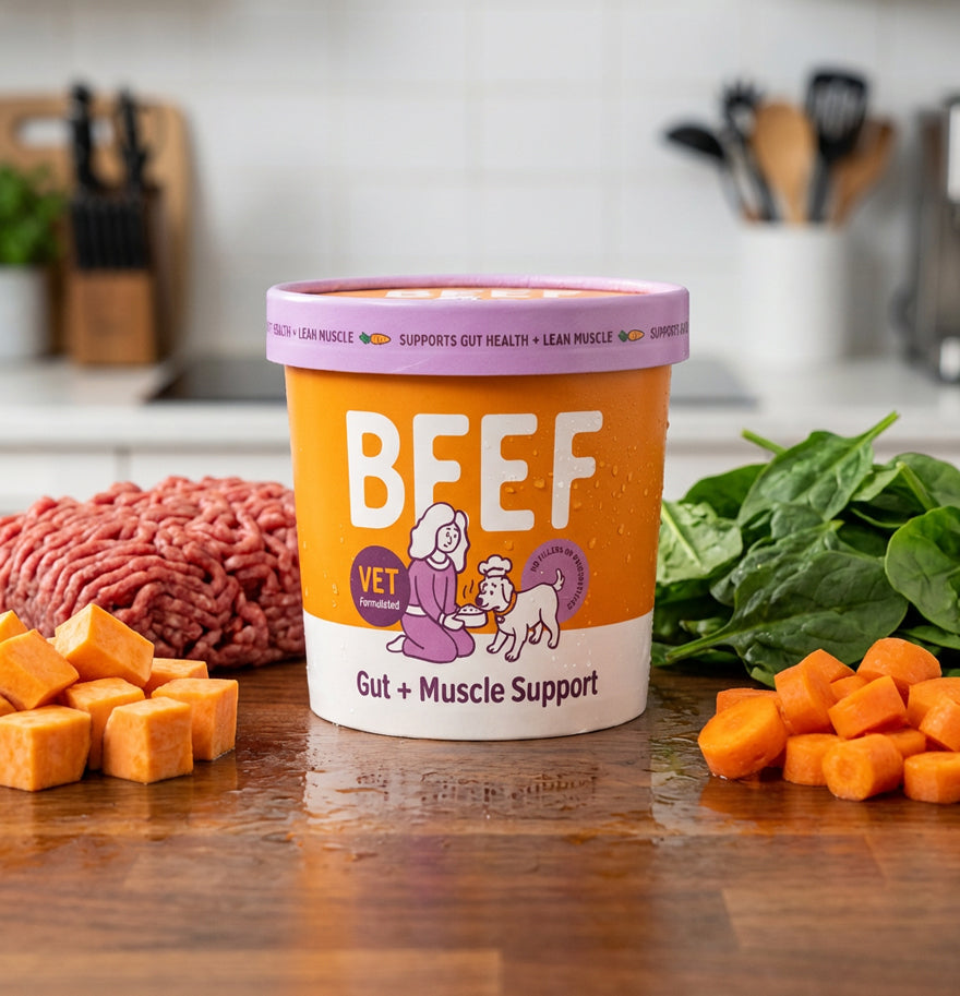 Fresh Everyday Meal