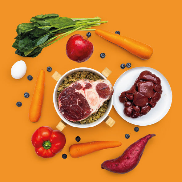 Fresh Frozen + Beef