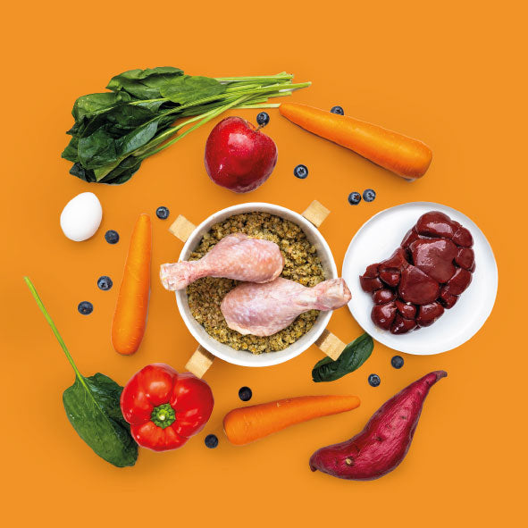 Fresh Frozen + Chicken