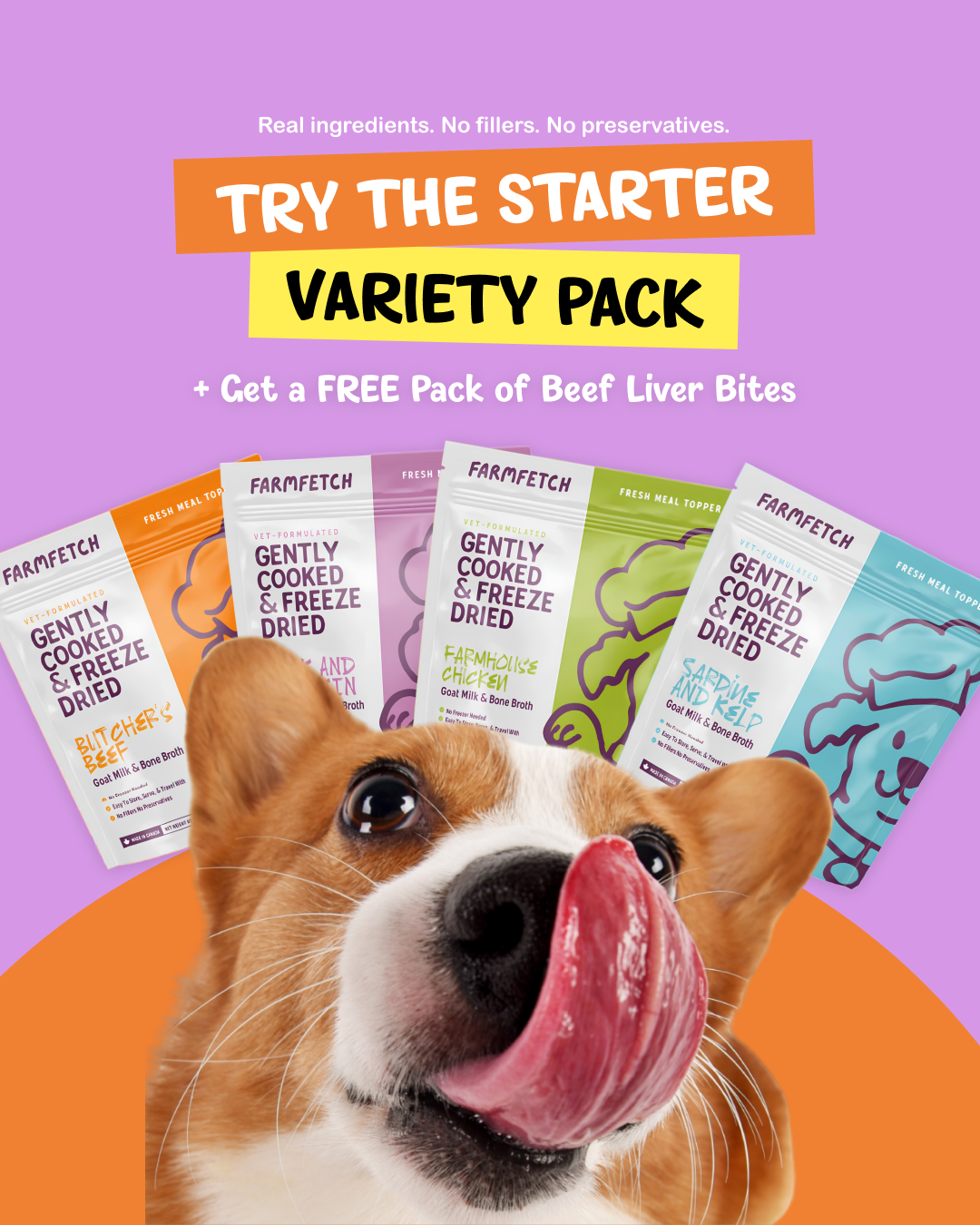 Starter Variety Pack