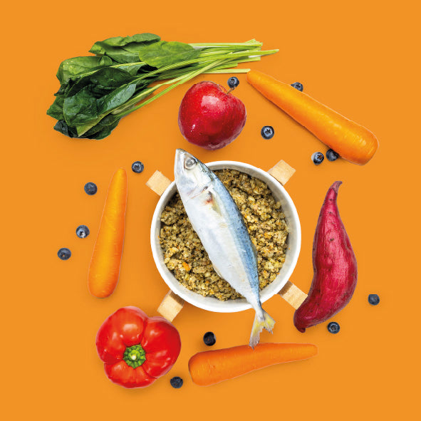 Gently Cooked Fish Meal - Allergy Support - 16 Pack