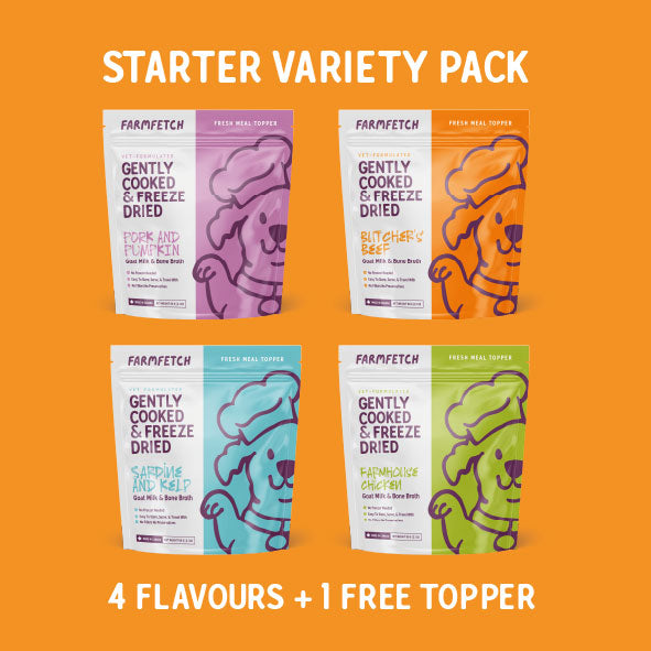 Starter Variety Pack