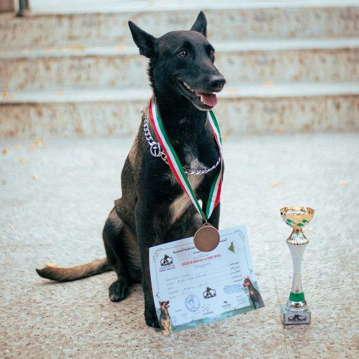 EVENTS — Join the FarmFetch Community
